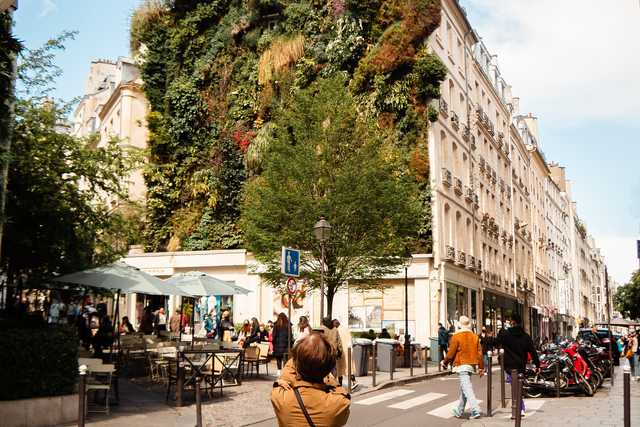 Woman in front of building with green wall